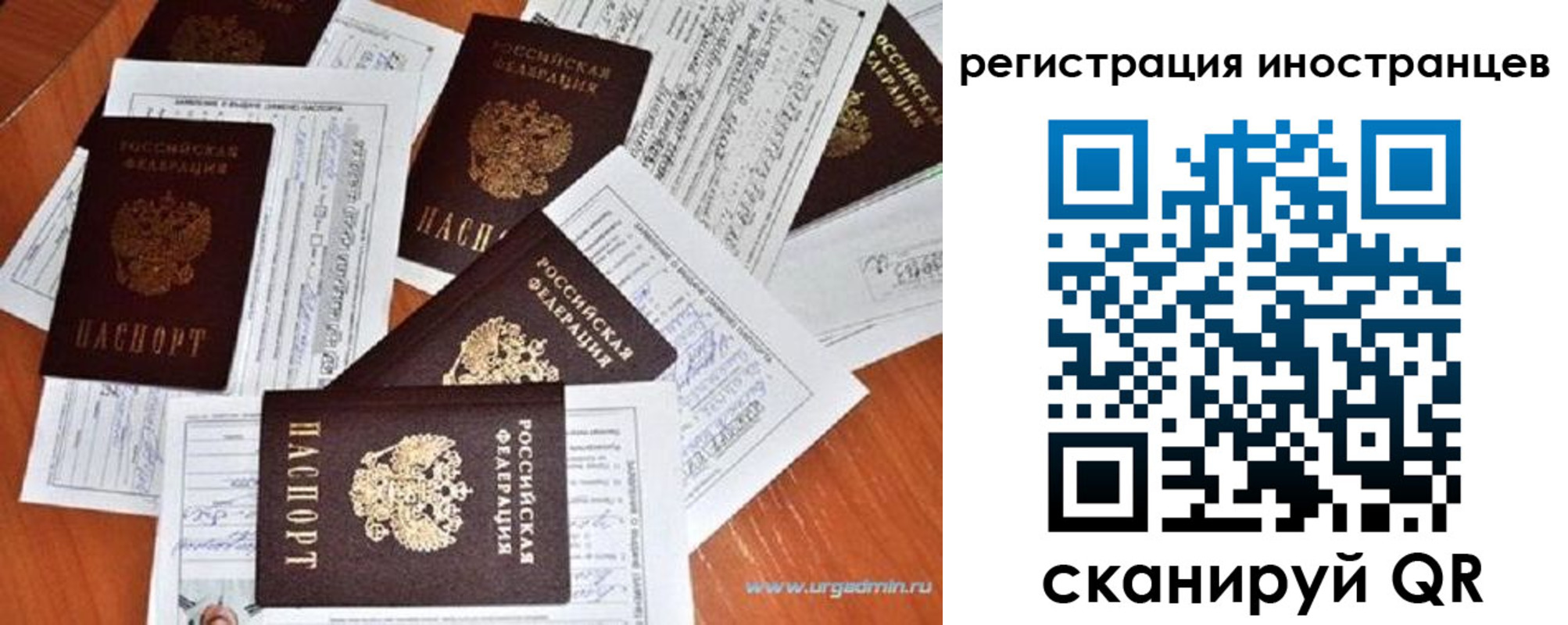 временная регистрация гарантия в Боготоле